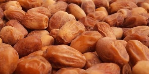 تصویر 2 از خرید و قیمت خرما خشک زاهدان + فروش عمده